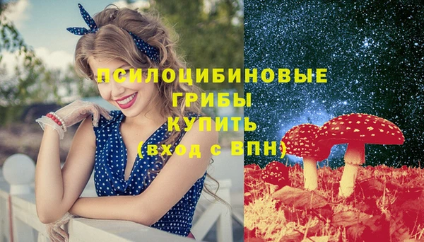 гашик Беломорск