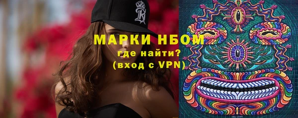 гашик Беломорск